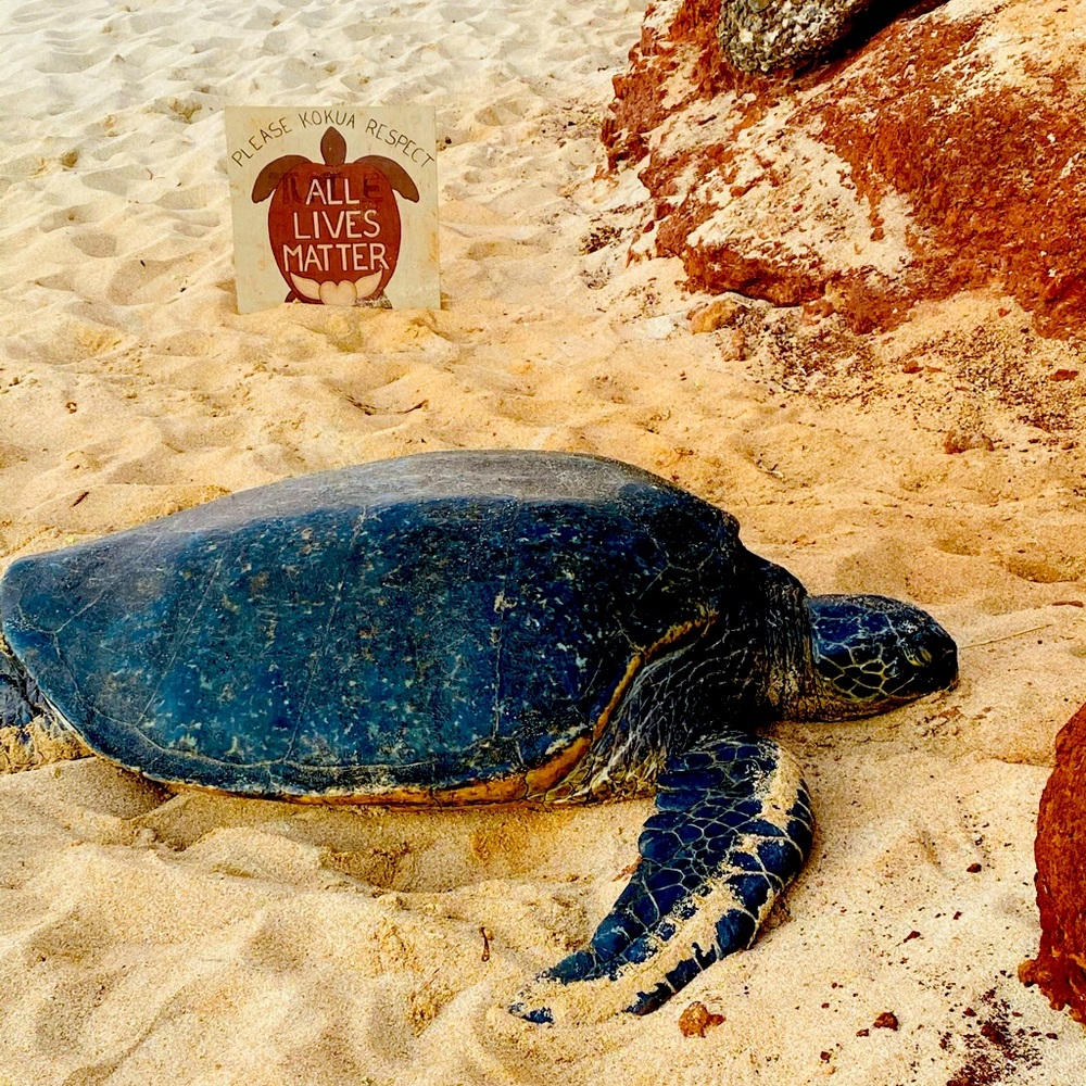 Meet your Posher, Tabitha